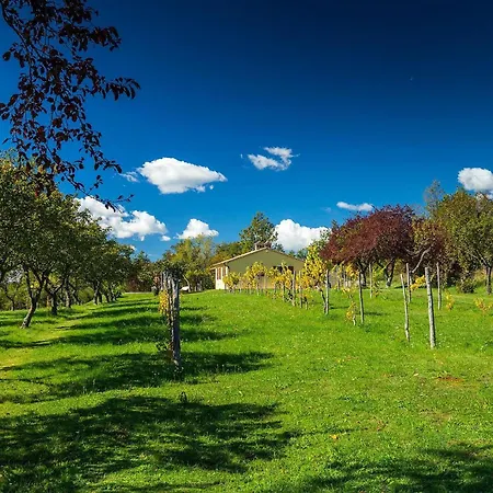 Nyaraló Villa Fiore Katun Lindarski